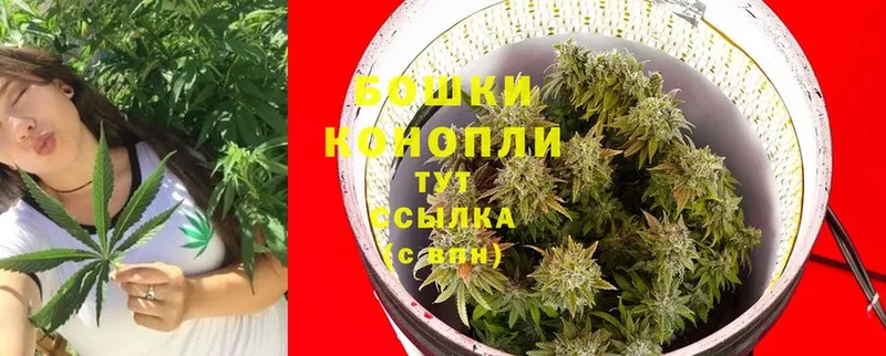 Шишки марихуана OG Kush  Заречный 